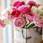 Delores Ann Coates, 89,